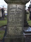 image of grave number 369393
